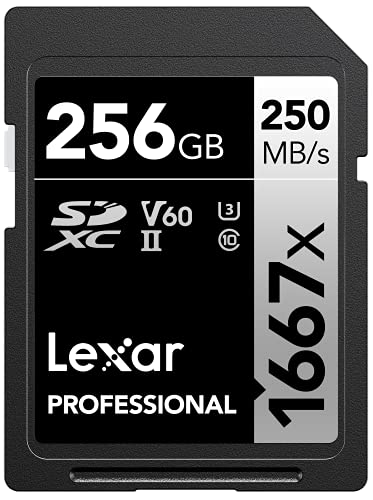 256GB SDXC UHS-II SILVER