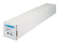 HP Everyday Pigment Ink Photo Paper (HEWQ8921A)