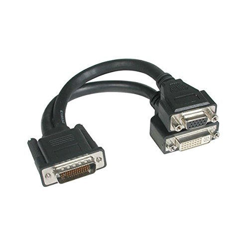 C2G 38066 One LFH-59 (DMS-59) Male to One DVI-I Female and One VGA Female Cable, Black (9 Inch)