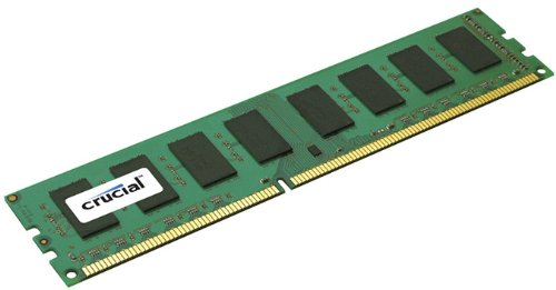 Crucial 8GB Single DDR3L 1600 MT/s (PC3-12800) DR x8 RDIMM 240-Pin Server Memory CT8G3ERSLD8160B