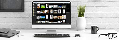 IOGEAR 2-Port Cinema 4K DisplayPort KVM, w/Full Set of Cables (GCS62DP)