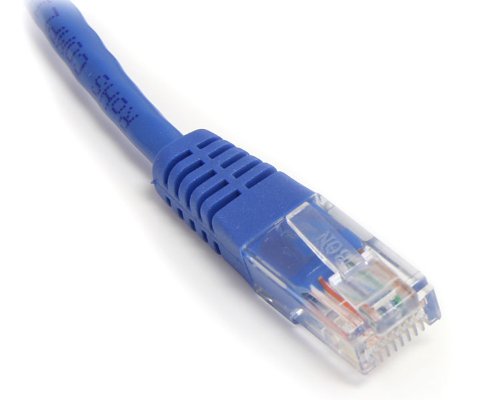 StarTech.com M45PATCH100B Molded RJ45 UTP Cat 5e Patch Cable, 100-Feet (Blue)