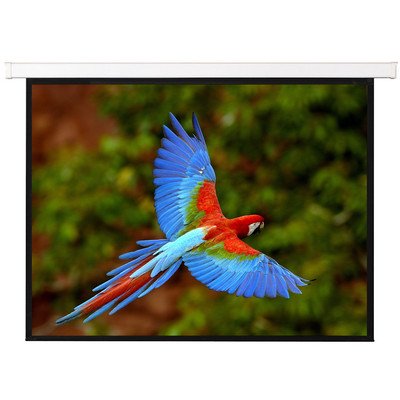 White Manual Projection Screen Viewing Area: 71