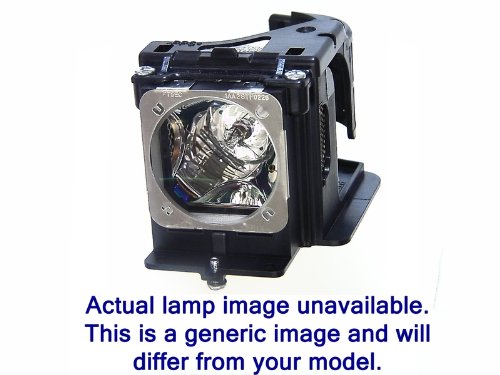 Replacement Lamp Module for Pjd8333s Pjd8633ws