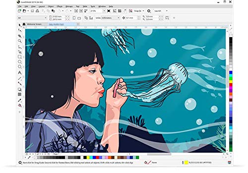 CorelDRAW Graphics Suite 2019