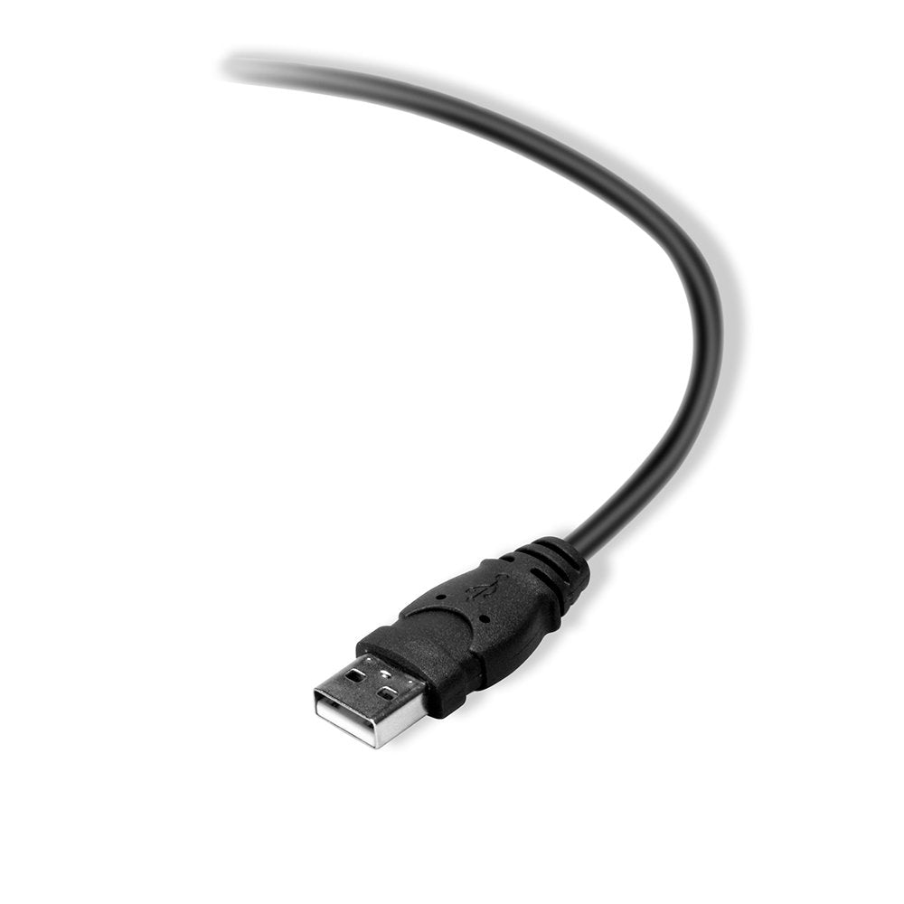 Belkin Premium Printer Cables Cable10 Ft4 Pin USB Type B to 4 Pin USB Type A, Black (F3U154BT3M)
