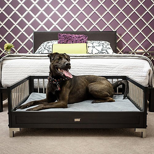 New Age Pet ecoFLEX Manhattan Raised Dog Bed w/Removable Cushion