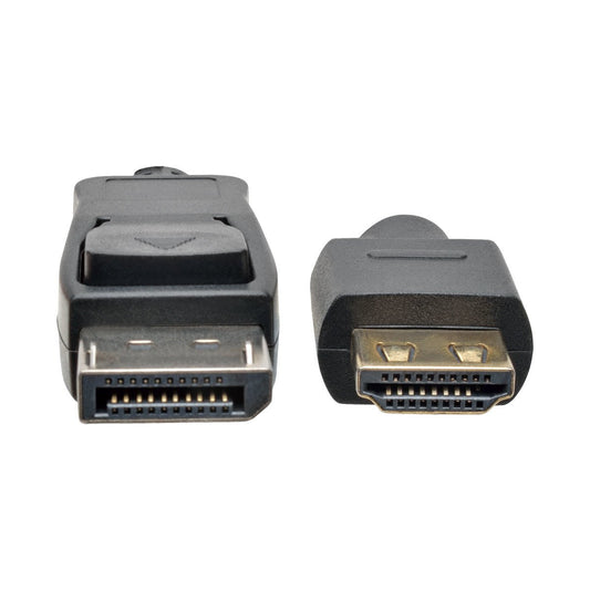 TRIPP LITE DisplayPort to HD Cable Adapter HDCP 1080P M/M 10-Feet 10ft