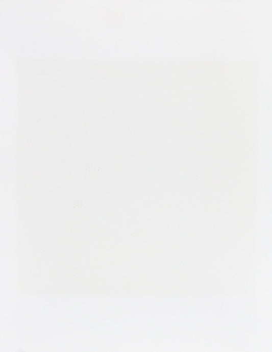 Kodak 3500 TRANSPORT CLEANING-SHEETS ( 169-0783 )