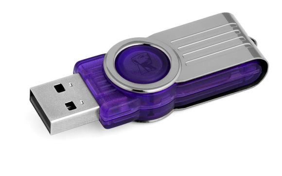 Kingston Digital 32 GB USB 2.0 Hi-speed Datatraveler Flash Drive DT101G2/32GBZ, Purple