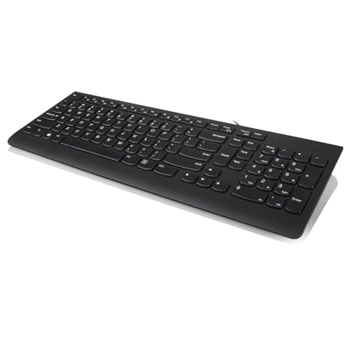 KB MICE_BO LENOVO 300-USB KEYBOARD