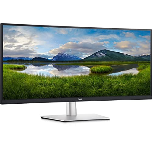 DELL 34 CURVED USB-C MONITOR P3421WM