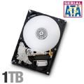 Hitachi Deskstar 7K1000.B 1TB Serial ATA / SATA 3.0Gbps 3.5 Hard Drive, 7200RPM, 16MB, HDT721010SLA360 / 0A38016, Refurbished