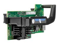 Ethernet 10Gb 2P 560FLB Adptr