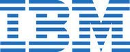 IBM ServeRAID M5200 Series 1GB Flash/RAID 5 Upgrade for IBM Systems