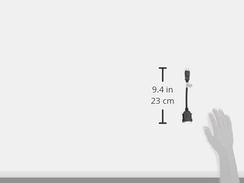 Display Port to Dvi CBL Incl 4 F/Quadro 450nvs