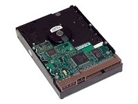 HP 2 TB 3.5" Internal Hard Drive QB576AA