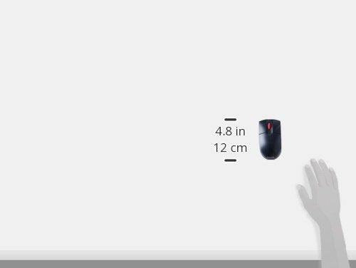 IBM 2 Button Optmouse Wheel Black USB