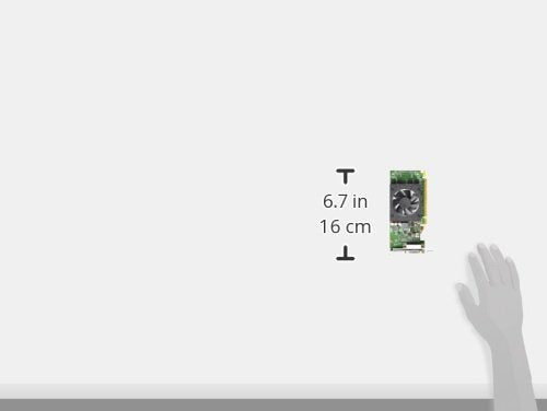 Adaptr Lenovo Geforce605 Dms59 Graphics