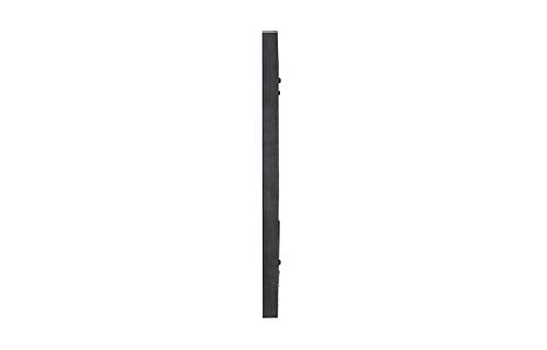 LG Electronics 49" 1920 x 1080 1300 LCD Monitor 49LS75C-B