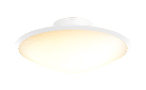 Philips Hue Phoenix Dimmable LED Smart Ceiling Light, Opal White (Requires Hue Hub, Works with Alexa, Apple HomeKit, and Google Assistant)