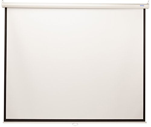 84INX84IN Model B Manual Pull Down Screen Matte White