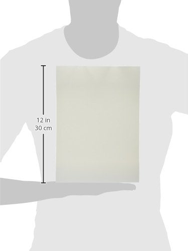 20PK CLEANING SHEETS FOR ACCS FI-4990C/M4099D