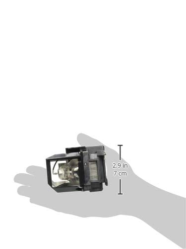 Replacement Lamp
