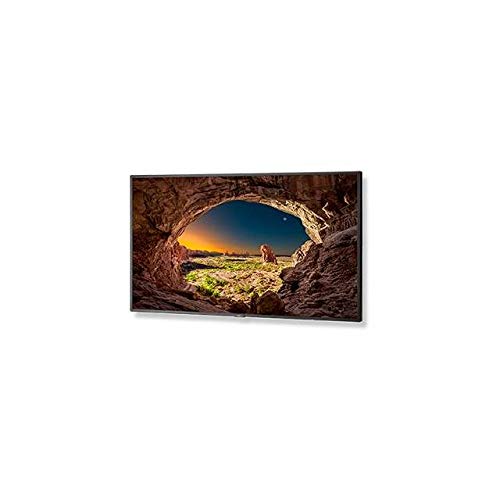 NEC V554 V Series - 55" Class (55" viewable) LED Commercial Display