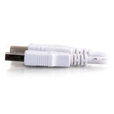 Cables To Go USB 2.0 A Male to B Male Cable