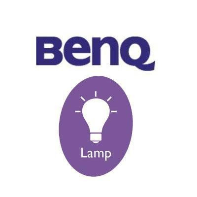 Replacement Lamp for Mx816st