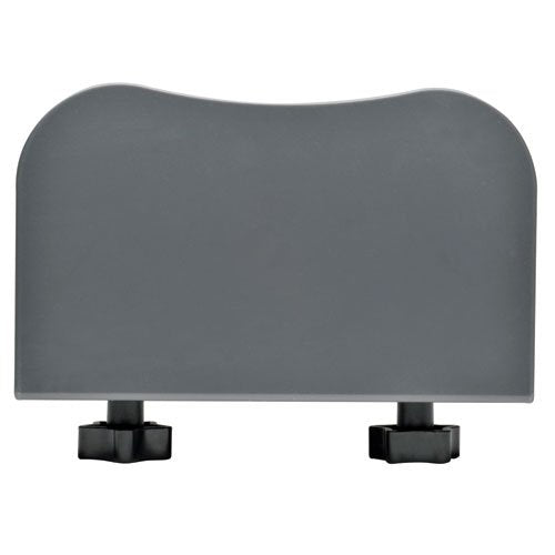 TRIPP LITE DCPU1 4-6.25 Inches Display CPU Desktop Computer Mount Open Frame, Gray