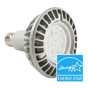 LED PAR38 Bright White 17 watt