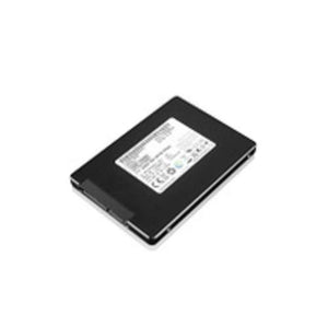 LENOVO COMMERCIAL - HDD_BO TP 256GB 2.5IN SATA SSD