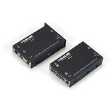 Black Box Servswitch Wizard SRX Dvi-d/USB Extender, Single-Head - 1 Computer(s) - 1 Remote User(s)