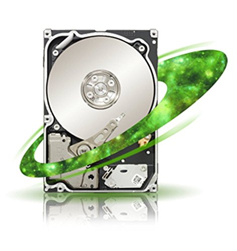 Seagate 1 TB Constellation SAS 7200 RPM 64 MB 2.5-Inch ST91000641SS (Black)