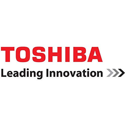 Toshiba 16IN Carrying CASE