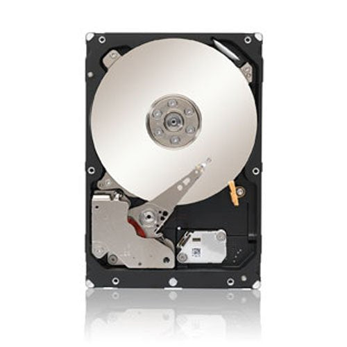 Seagate Enterprise Capacity 3.5-Inch HDD (Constellation ES) 3TB 7200RPM SATA 6Gbps 128 MB Cache Internal Bare Drive ST3000NM0033