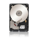 Seagate Enterprise Capacity 3.5-Inch HDD (Constellation ES) 3TB 7200RPM SATA 6Gbps 128 MB Cache Internal Bare Drive ST3000NM0033