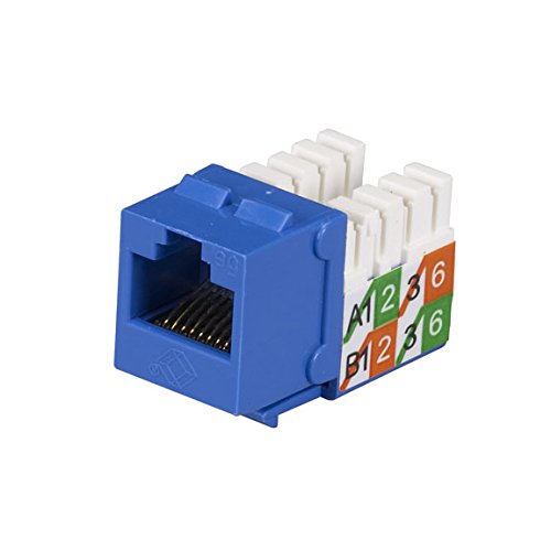 Black Box FMT920-R2-25PAK GigaBase2 CAT5e Jack, Universal Wiring, Blue, 25-Pack