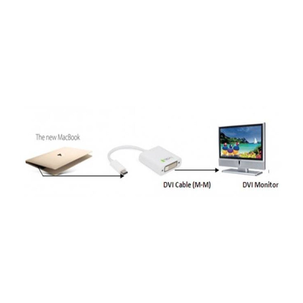 Techly USB-C 3.1 to DVI F Converter cable Adapter, Ultra Fast-5G USB to DVI-Resolutions up to 1080P-Reversible