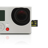 Patriot EP 16 GB MicroSDHC Series Memory Card (PEF16GEMCSHC10)