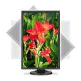 NEC E245WMI-BK 24" Screen LED-Lit Monitor