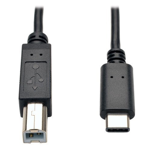 TRIPP LITE USB 2.0 Hi-Speed Cable B Male to USB Type-C Male 6' (U040-006)