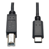 TRIPP LITE USB 2.0 Hi-Speed Cable B Male to USB Type-C Male 6' (U040-006)