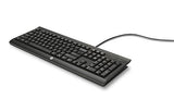 HP Wired USB Keyboard K1500 (Black) (H3C52AA#ABA)