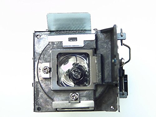 Projector X1110 Lamp Module