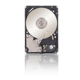Seagate 300 GB SAS 10000 RPM 64 MB 2.5-Inch ST300MM0026 (Black)