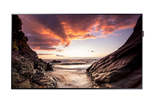 Samsung 43in Led 1920x1080 16:9 8ms Pm43f 5000:1 vga hdmi dp