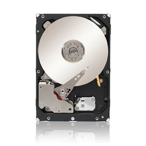 Seagate 1 TB Constellation ES SAS 7200 RPM 128 MB 3.5-Inch ST1000NM0043 (Black)